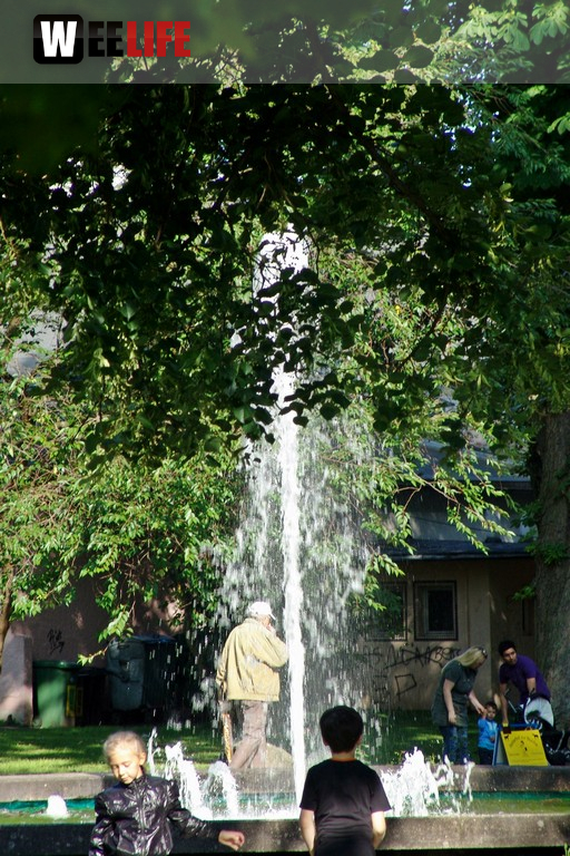 Altstadtfest