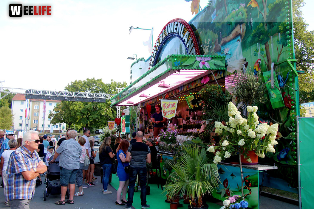 Hofer Volksfest 2022 Sonntag Nachmittag 7.8.22