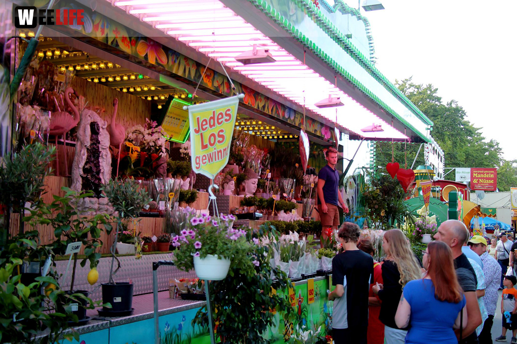 Hofer Volksfest 2022 Sonntag Nachmittag 7.8.22