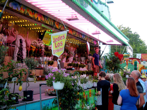 Hofer Volksfest 2022 Sonntag Nachmittag 7.8.22 – Foto 88