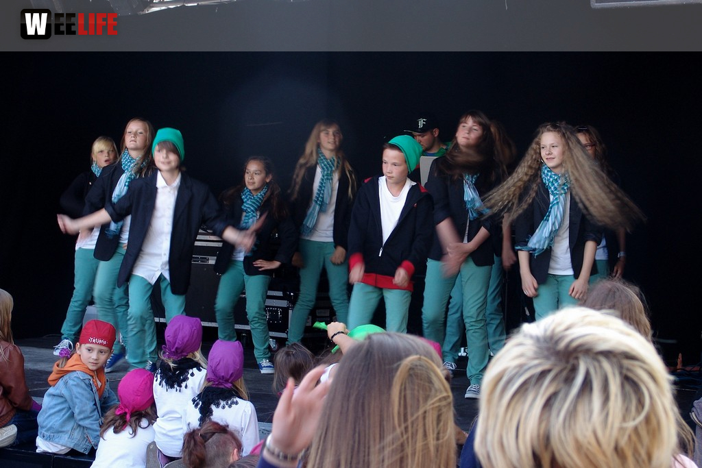 Altstadtfest
