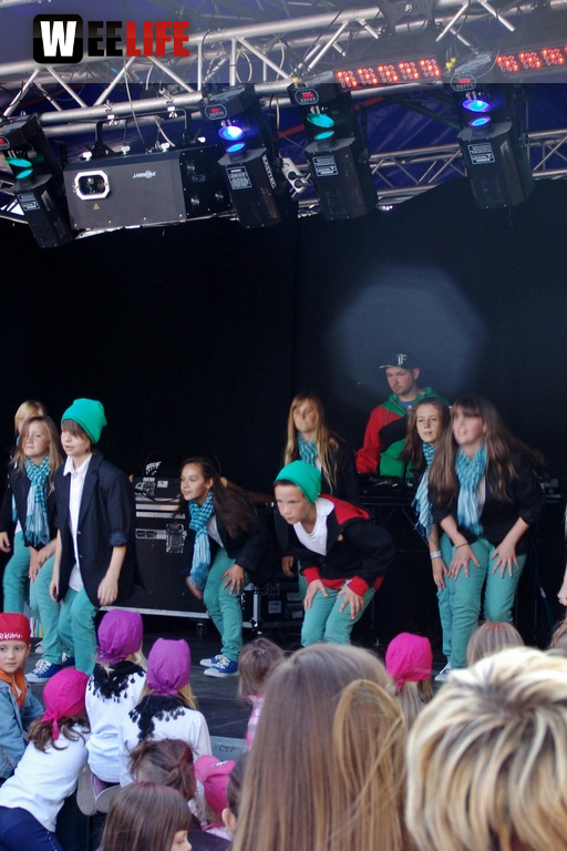 Altstadtfest