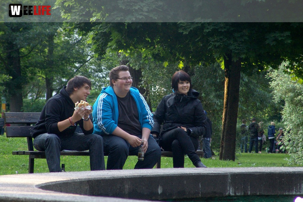Altstadtfest