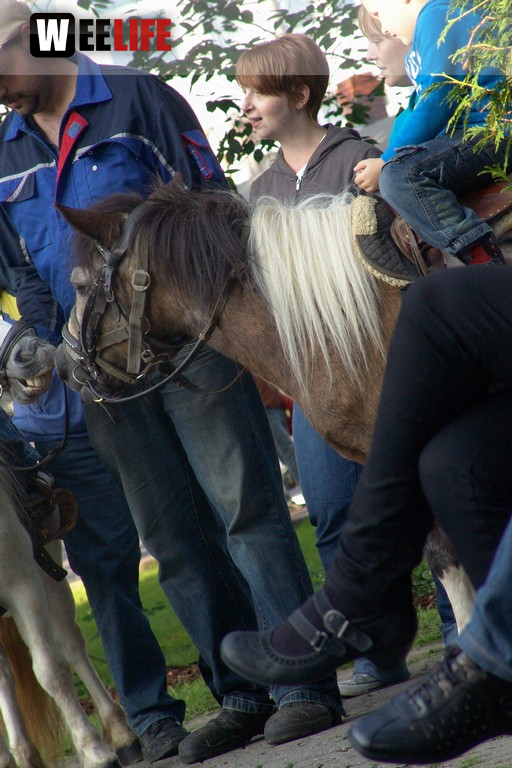 Altstadtfest