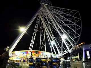 Foto 252274 im Album