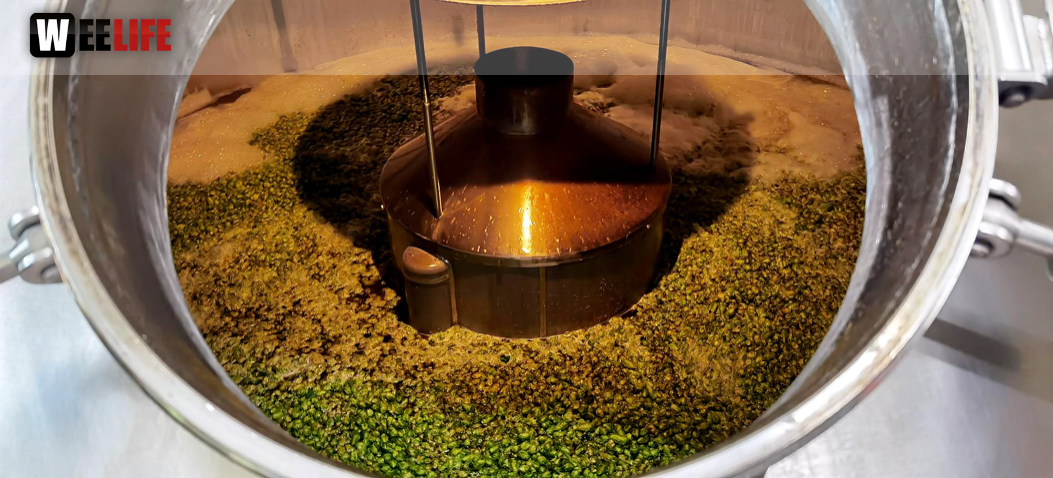 Hopferzupferfest 2022