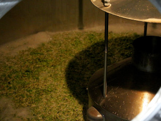 Foto 253674 im Album