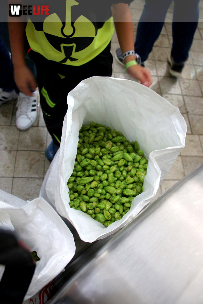 Hopferzupferfest 2022