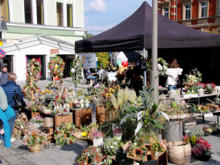 Foto 253776 im Album