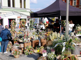 Vorschau des vorherigen Fotos