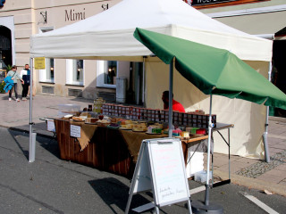 Foto 253791 im Album
