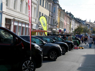 Vorschau des nächsten Fotos