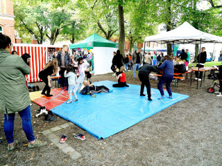 Foto 253910 im Album