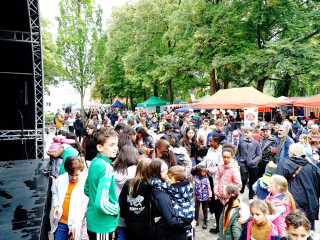 Foto 254011 im Album