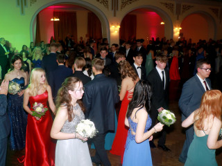 Foto 254374 im Album
