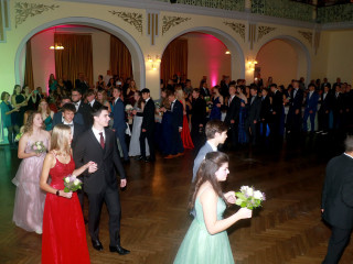 Foto 254403 im Album