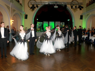 Foto 254536 im Album