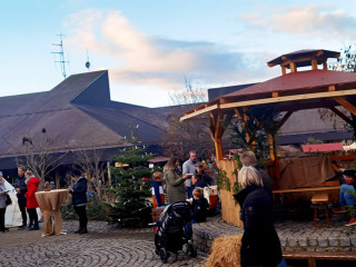 Vorschau des vorherigen Fotos