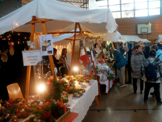 Foto 254624 im Album