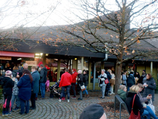 Foto 254694 im Album