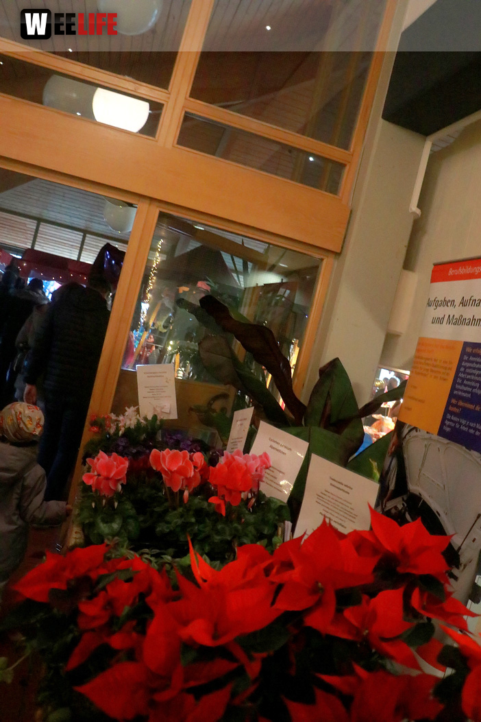 Mittelalterlicher Adventsmarkt Samstag