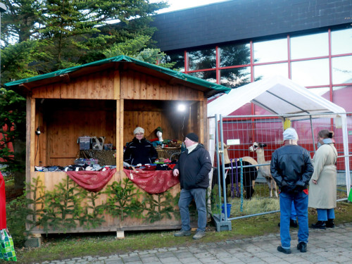 Mittelalterlicher Adventsmarkt Samstag – Foto 121