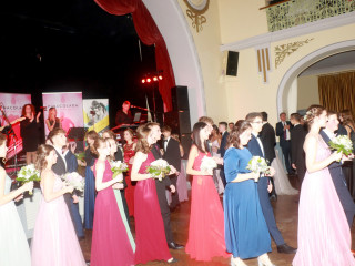 Foto 254742 im Album