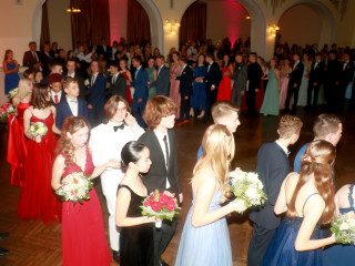 Foto 254762 im Album