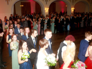 Foto 254764 im Album