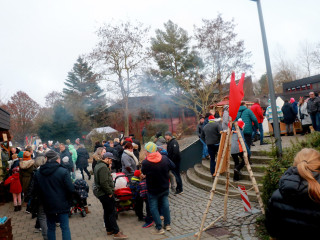 Vorschau des vorherigen Fotos