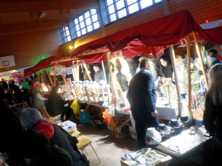 Foto 255075 im Album