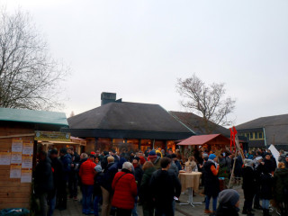 Foto 255088 im Album