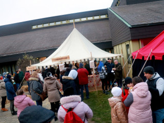 Foto 255101 im Album