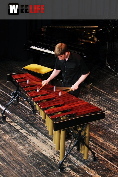 Sommerkonzert der Sing - und Musikschule Marktredwitz