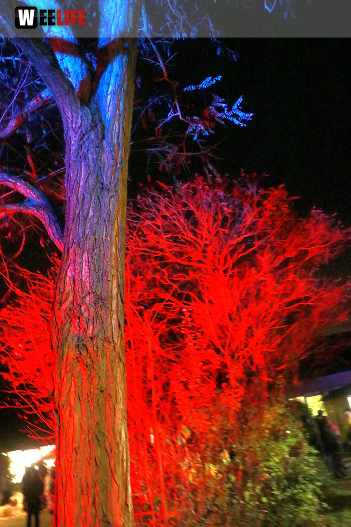 Mittelalterlicher Adventsmarkt Sonntag