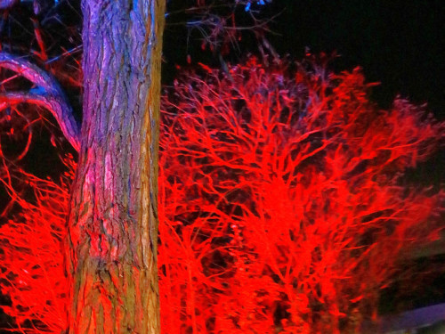 Mittelalterlicher Adventsmarkt Sonntag – Foto 158