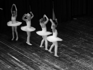 Foto 25531 im Album