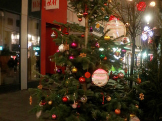 Foto 255389 im Album