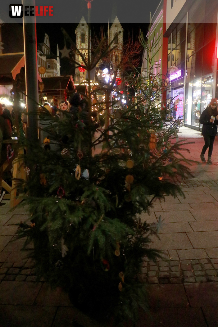 Hofer Weihnachtsmarkt mit Christine Set The Scene Sonntag 27.11.22