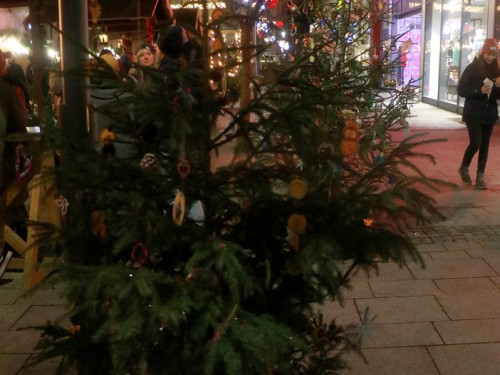 Hofer Weihnachtsmarkt mit Christine Set The Scene Sonntag 27.11.22 – Foto 65