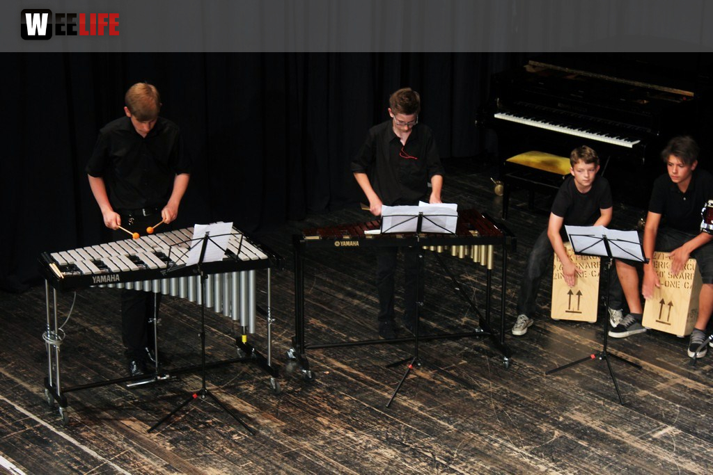 Sommerkonzert der Sing - und Musikschule Marktredwitz
