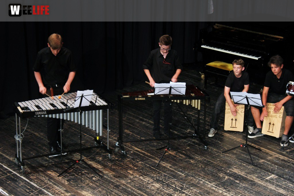 Sommerkonzert der Sing - und Musikschule Marktredwitz