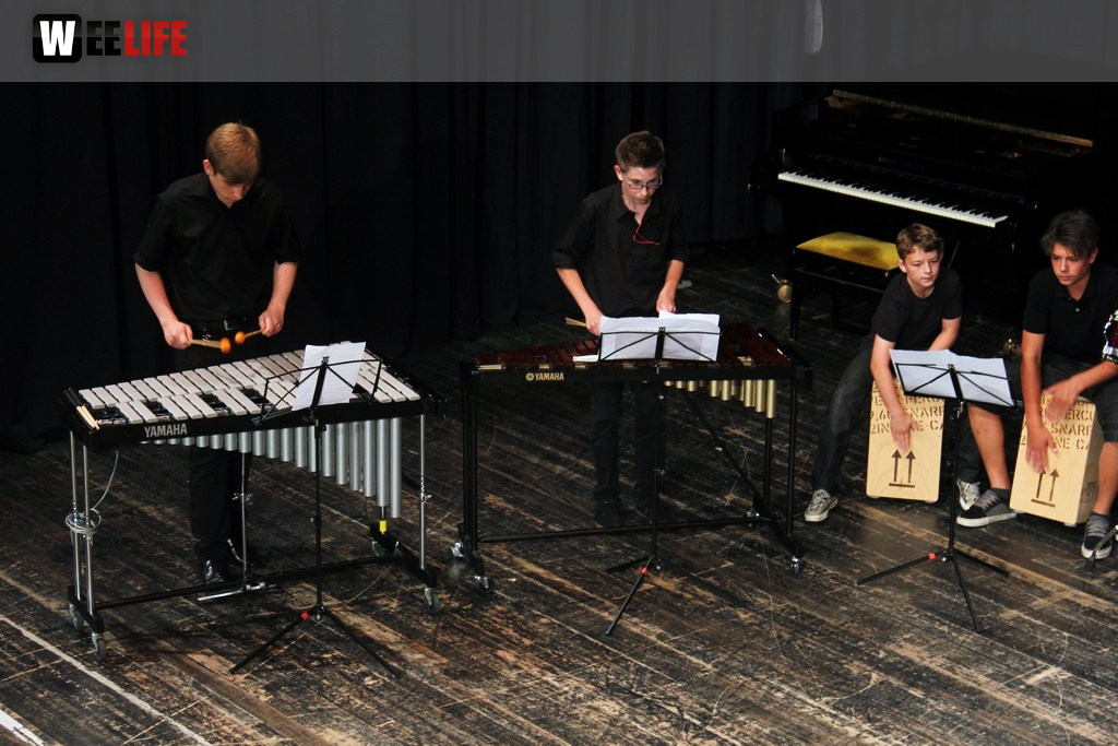 Sommerkonzert der Sing - und Musikschule Marktredwitz