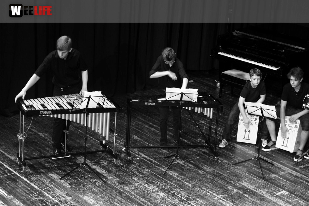 Sommerkonzert der Sing - und Musikschule Marktredwitz