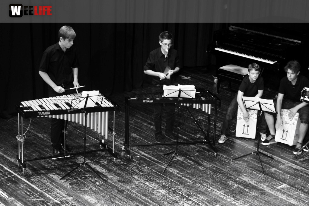 Sommerkonzert der Sing - und Musikschule Marktredwitz
