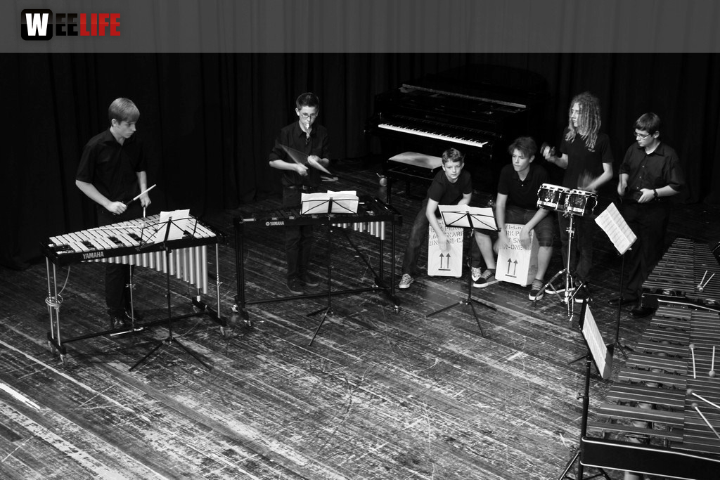 Sommerkonzert der Sing - und Musikschule Marktredwitz