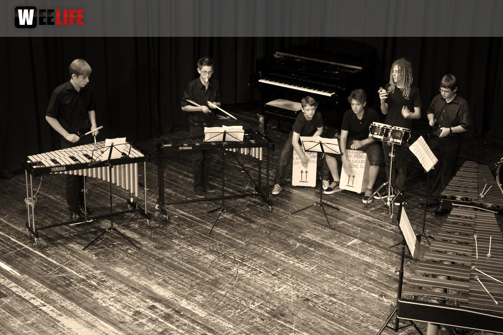Sommerkonzert der Sing - und Musikschule Marktredwitz