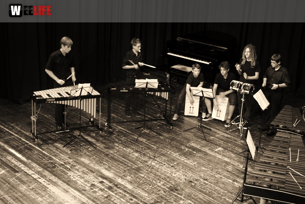 Sommerkonzert der Sing - und Musikschule Marktredwitz