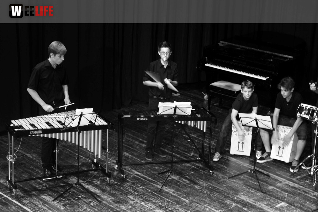 Sommerkonzert der Sing - und Musikschule Marktredwitz