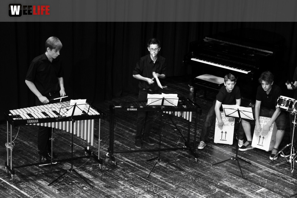 Sommerkonzert der Sing - und Musikschule Marktredwitz